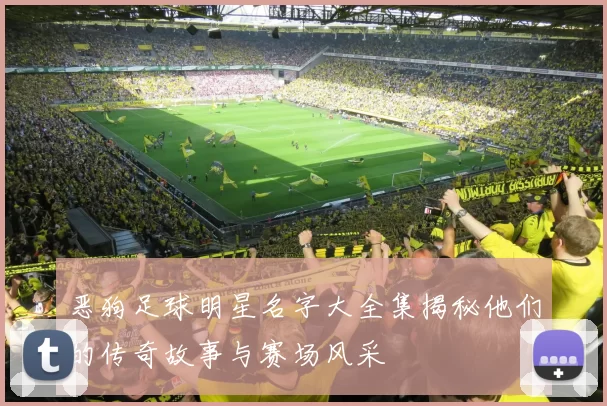 恶狗足球明星名字大全集揭秘他们的传奇故事与赛场风采