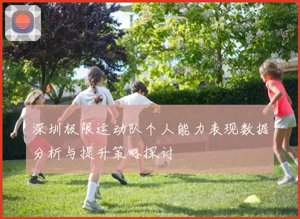 深圳极限运动队个人能力表现数据分析与提升策略探讨