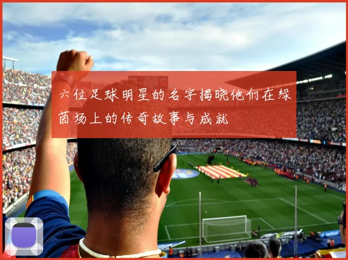 六位足球明星的名字揭晓他们在绿茵场上的传奇故事与成就