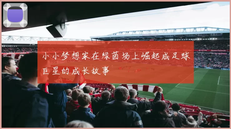 小小梦想家在绿茵场上崛起成足球巨星的成长故事