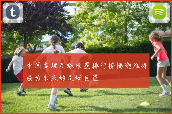 中国高端足球明星排行榜揭晓谁将成为未来的足坛巨星