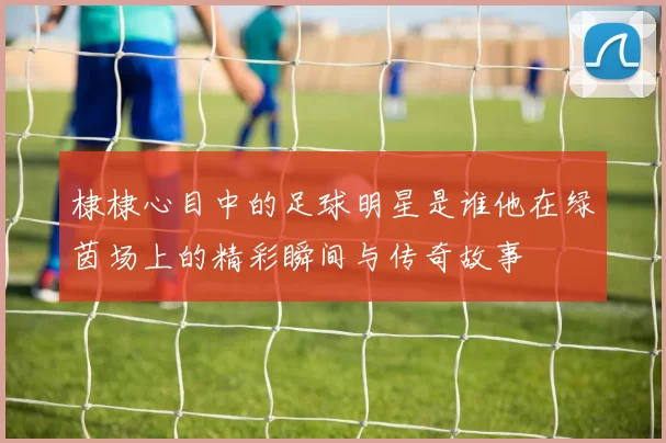 棣棣心目中的足球明星是谁他在绿茵场上的精彩瞬间与传奇故事
