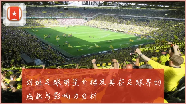 刘姓足球明星介绍及其在足球界的成就与影响力分析