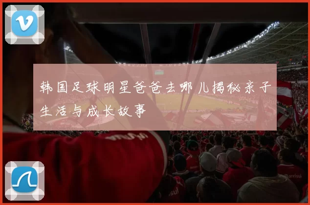 韩国足球明星爸爸去哪儿揭秘亲子生活与成长故事