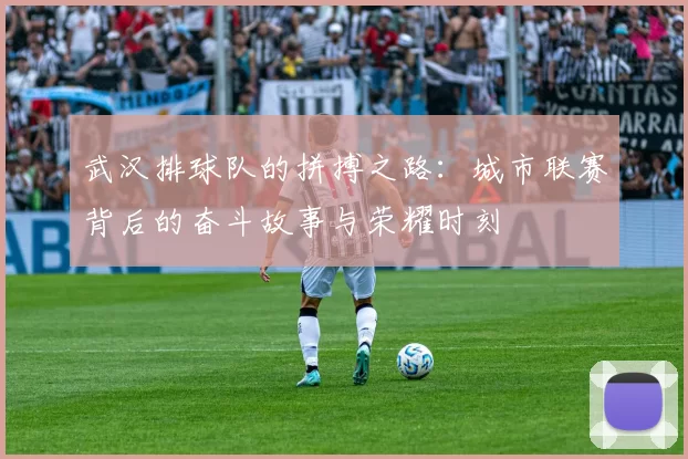 武汉排球队的拼搏之路：城市联赛背后的奋斗故事与荣耀时刻