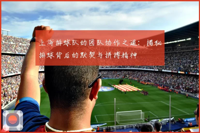 上海排球队的团队协作之道：揭秘排球背后的默契与拼搏精神
