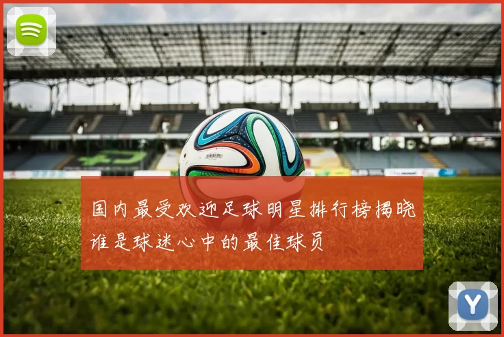 国内最受欢迎足球明星排行榜揭晓谁是球迷心中的最佳球员