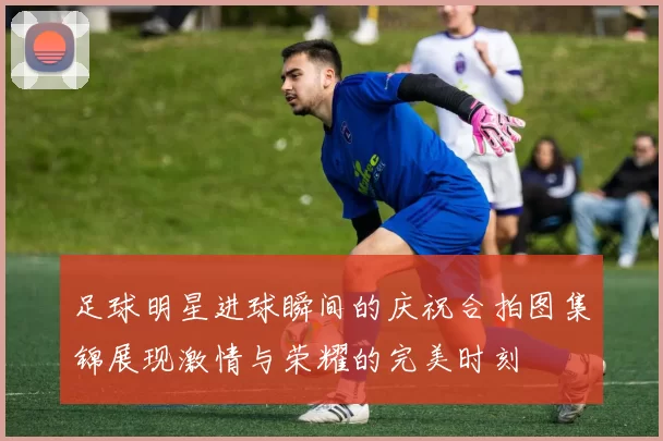 足球明星进球瞬间的庆祝合拍图集锦展现激情与荣耀的完美时刻