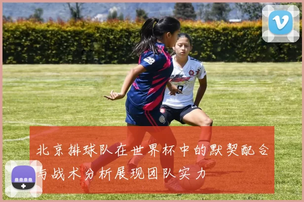 北京排球队在世界杯中的默契配合与战术分析展现团队实力