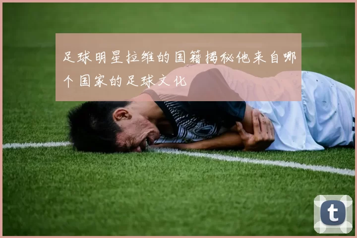 足球明星拉维的国籍揭秘他来自哪个国家的足球文化