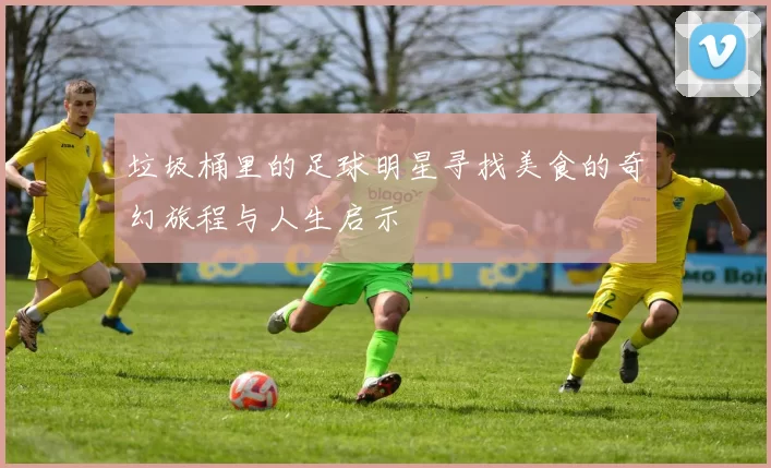 垃圾桶里的足球明星寻找美食的奇幻旅程与人生启示