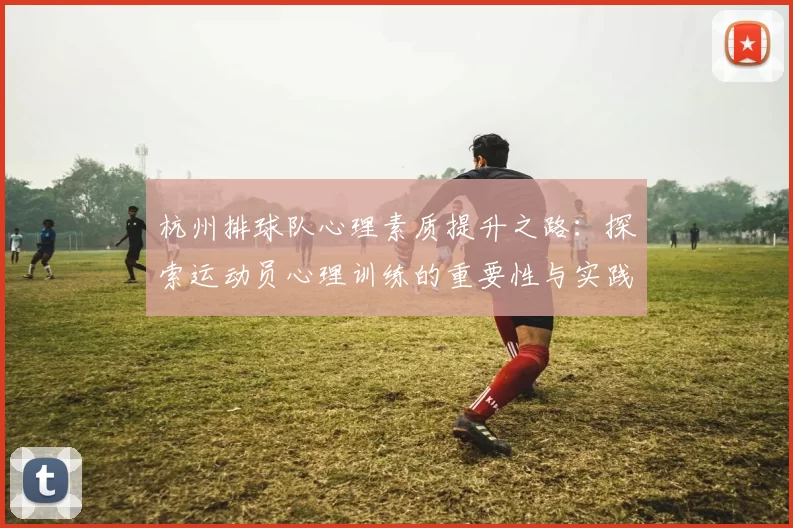 杭州排球队心理素质提升之路：探索运动员心理训练的重要性与实践策略