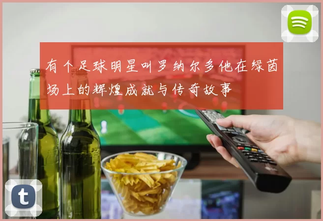 有个足球明星叫罗纳尔多他在绿茵场上的辉煌成就与传奇故事