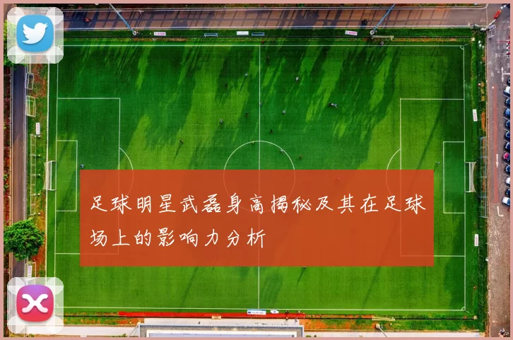 足球明星武磊身高揭秘及其在足球场上的影响力分析