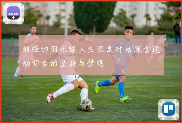 刘强的羽毛球人生深度对话探索运动背后的坚持与梦想