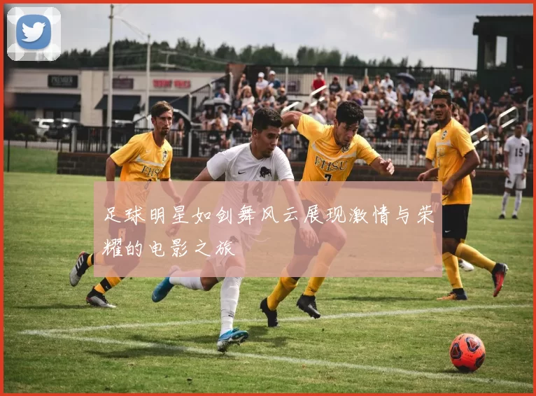 足球明星如剑舞风云展现激情与荣耀的电影之旅