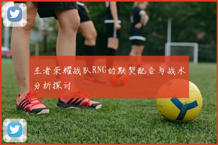 王者荣耀战队RNG的默契配合与战术分析探讨